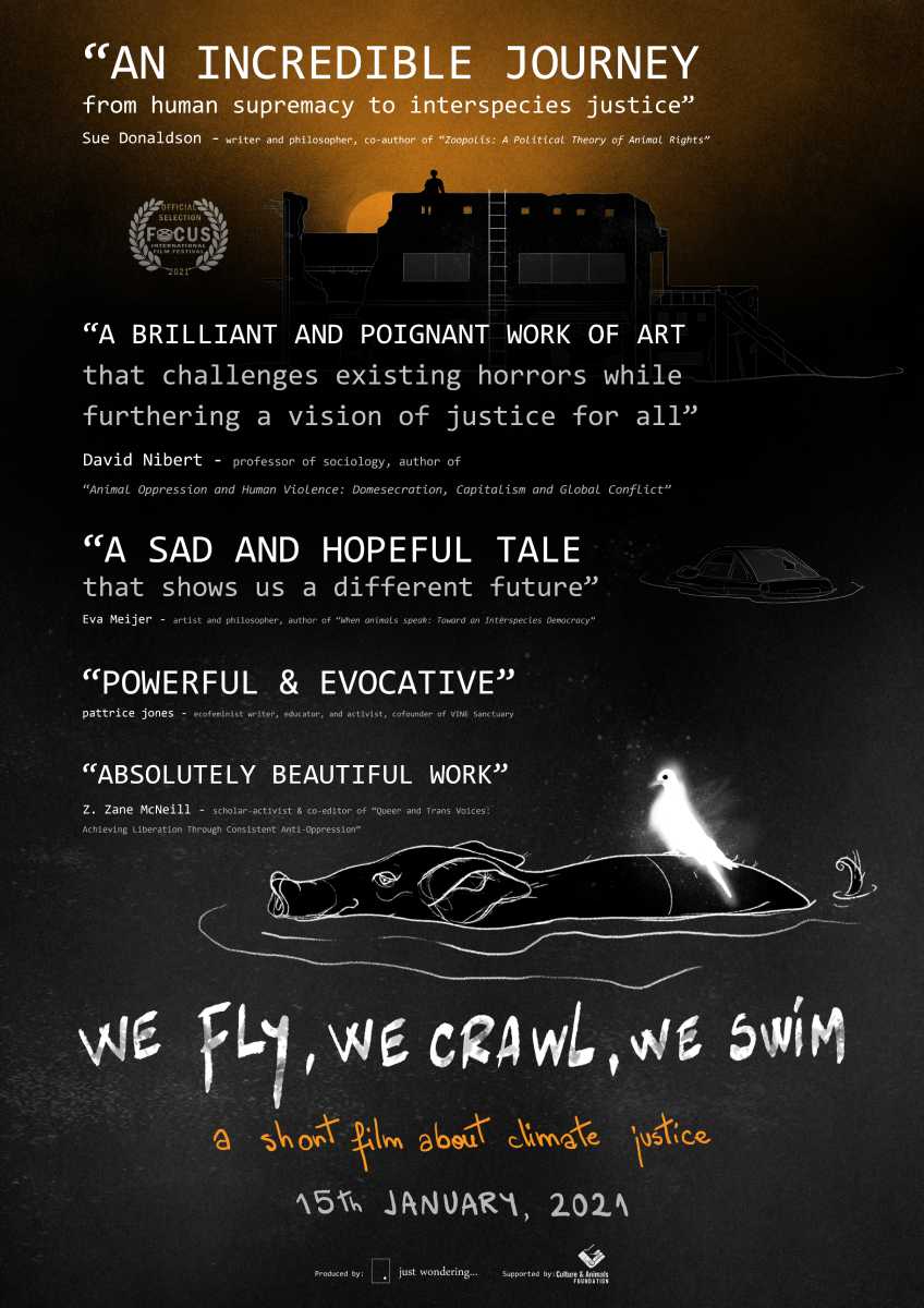 Poster-film scurt metraj just wondering - We Fly, We Crawl, We Swim